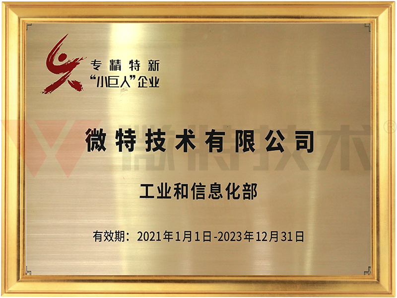專(zhuān)精特新小巨人企業(yè)—微特